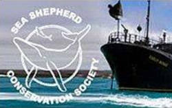 Sea Shepherd